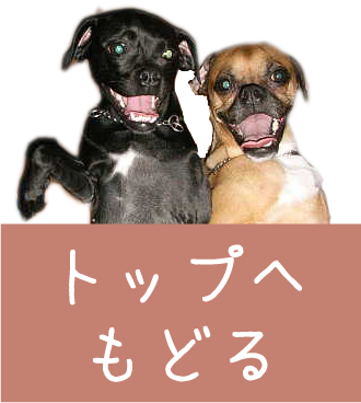 topへ戻るボタン